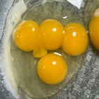 달걀,노른자