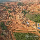 니켈,개발,인도네시아,환경,지적,열대우림,문제