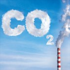 탄소,사회적,비용,할인율,추정,배출,기후변화,적용,탄소가격제,내부