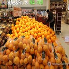 지난해,지난달,오렌지,과일,가격,매출
