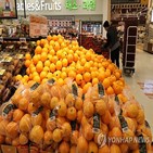 과일,수입,가격,매출,오렌지,지난달,지난해,할인,증가