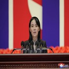 일본,북한,문제,대해,한·미,담화