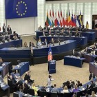 유럽의회,선거,전문가,대응,정부
