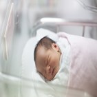 출산율,저출산,지난해,기록,출산,0.72,한국