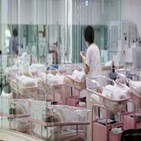 지난해,출생아,합계출산율,감소,출산율,인구,작년,한국