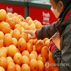 과일,수입,중순,직수입,오렌지