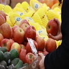 과일,물량,가격,안정,토마토,수입과일,사과
