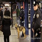 뉴욕,지하철,범죄,단속,투입,경찰,무임승차,남성
