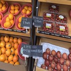가격,토마토,지원,방울토마토,과일