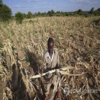 가뭄,짐바브웨,지원,식량,엘니뇨