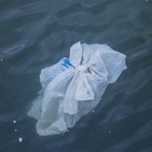 플라스틱,쓰레기,해저,최대,연구,바다