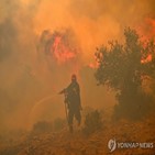 산불,그리스,주민,불길
