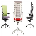 애니,의자,허리,회사,사무용,제품,혁신제품