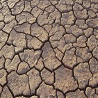 가뭄,잠비아,긴급