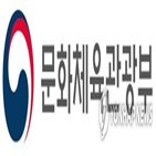 문체부,관광,정책,개도국,한국,대표