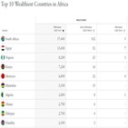 아프리카,가장,자산,남아공