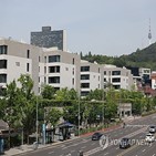 거래,신고,서울,아파트,신고가,비중,작년