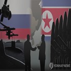 북한,미사일,무기,러시아,부품,제재,전문가