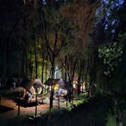 캠핑,나무,야영장,국립자연휴양림