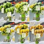 바나나,중국,사진