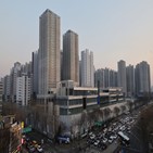 입주,서울,물량,전세,강동구