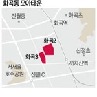 타운,일대,서울시,관리계획,화곡1동,화곡동