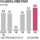 정책대출,증가,정부,가계대출,은행권,은행