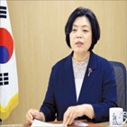 과천,지원,시장,사업,위해