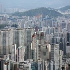 대출,규제,경우,비중,전세대출,금융당국,추가