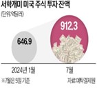 투자,미국,해외,개인,달러,주식,개인투자자,환율,증가,국내