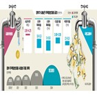 정책,대출,정부,규모,공급,시장,규제,증가,특례대출,신생아