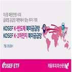 북미공급망,반도체,미국,KOSEF