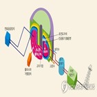 발전,핵융합,실증,일본,목표