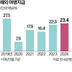 소비,여행,내수,지속,감소