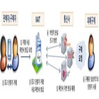 휴대전화,중고,거래,인증,사업자