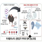 청력,미세플라스틱,폴리에틸렌,내이,연구팀,확인