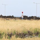 신청,정부,보급종