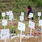 쉼터,농막,설치,농지,농식품부,농촌체류,건축물,가설