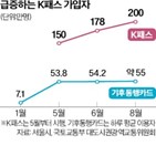 패스,기후동행카드,이용자,교통비,범위,혜택