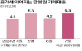 가계대출,증가,증가세,거래,기타대출