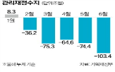 적자,지난해,수입,올해,규모,관리재정수지