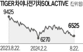 전기차,중국,개인투자자,시장