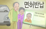 비중,경우,고령운전자,보고서,운전면허,고령화,고령자