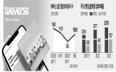 팬덤,플랫폼,네오위즈,사업,아티스트,자회사,시장,버스,성공