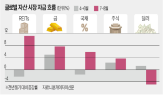 신흥국,리츠,미국,인도,시장,달러,투자