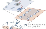 기술,양자컴퓨팅,오류정정,개발,아키텍처