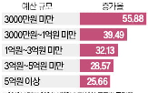 축제,지역,미만,3000만,팬데믹,세금,예산,지역축제,평가