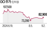 반도체,인산,국내,SK하이닉스,공급