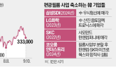 사업,편광필름,삼성,배터리,매각,중국