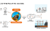 반도,생산,한화솔루션,소재,초고압케이블,글로벌,확대